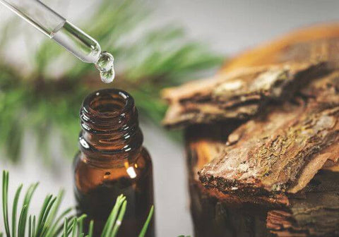 Pine Bark Extract Body shower gel