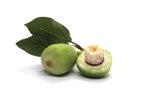 KAKADU PLUM