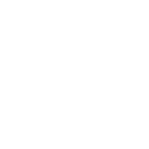 Sun Damage